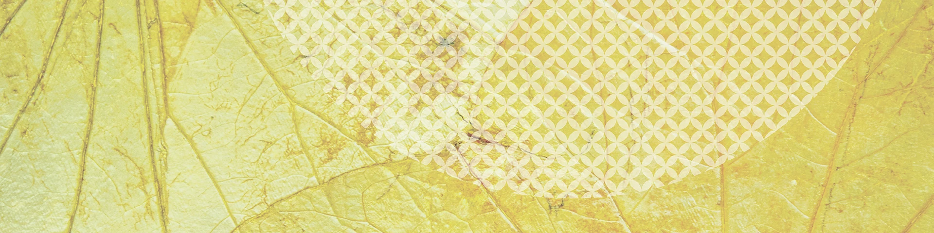 SPRING Feature Image